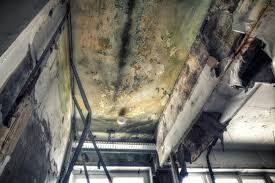 Mold Odor Removal Services in New Albany, OH